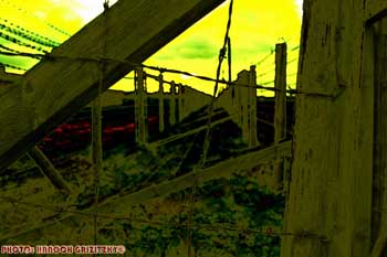 IMG_ (10903a)